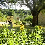 Lägenhet Collina Umbra *