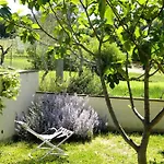 Collina Umbra