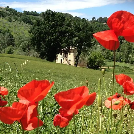 Collina Umbra * Bevagna