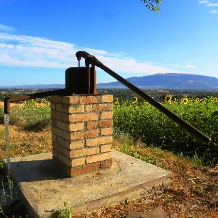 Collina Umbra 아파트 베바냐