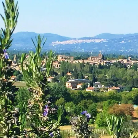 Collina Umbra Lägenhet Bevagna