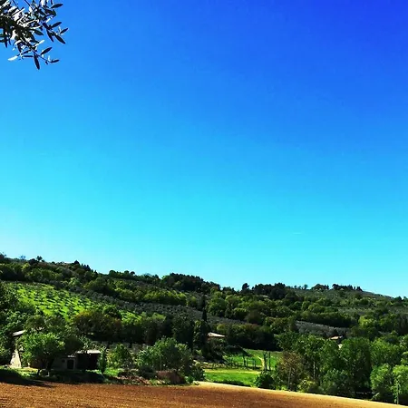 Collina Umbra 아파트 *