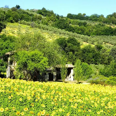 Collina Umbra Bevagna