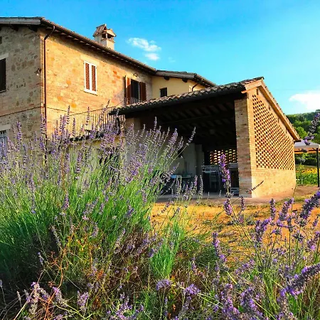 Collina Umbra *