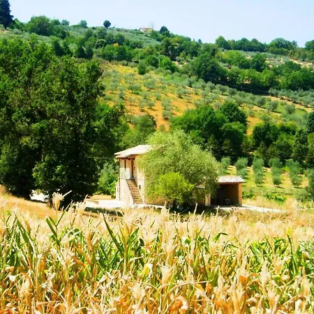 Collina Umbra 베바냐