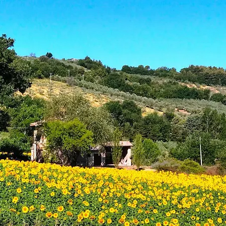 Collina Umbra