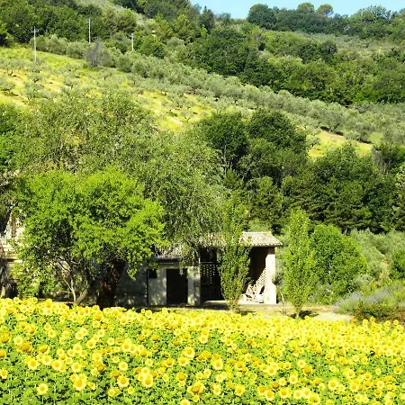 Apartamento Collina Umbra *
