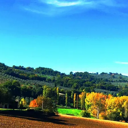 Collina Umbra *