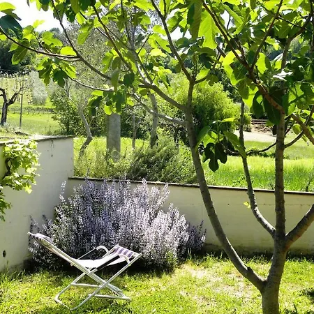 Collina Umbra