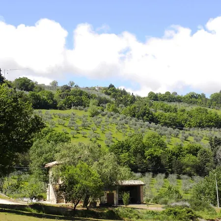 아파트 Collina Umbra 베바냐