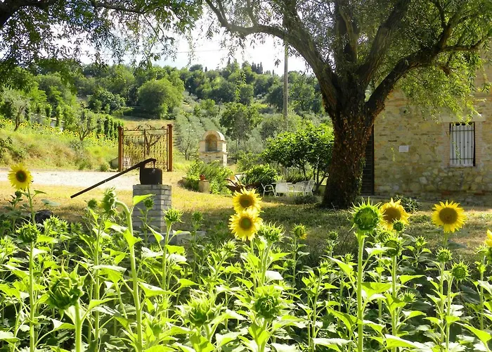 아파트 Collina Umbra *