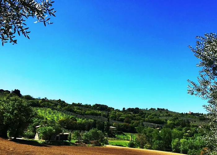 Collina Umbra 아파트 *