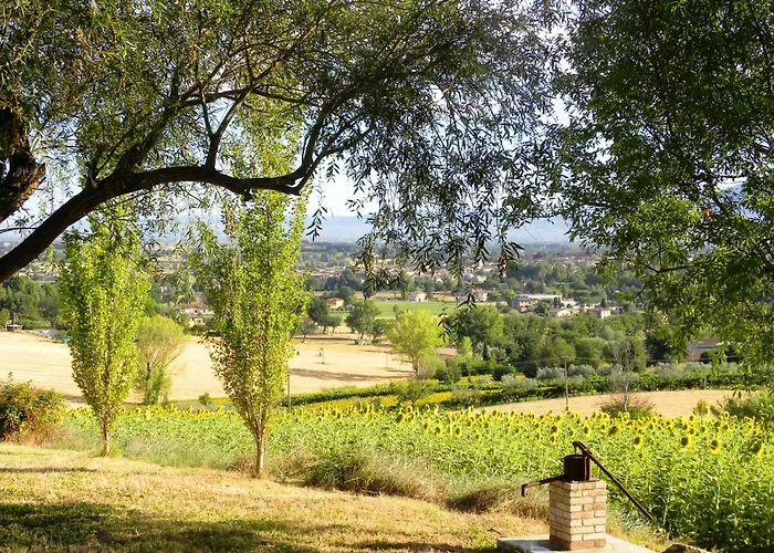 Collina Umbra 아파트