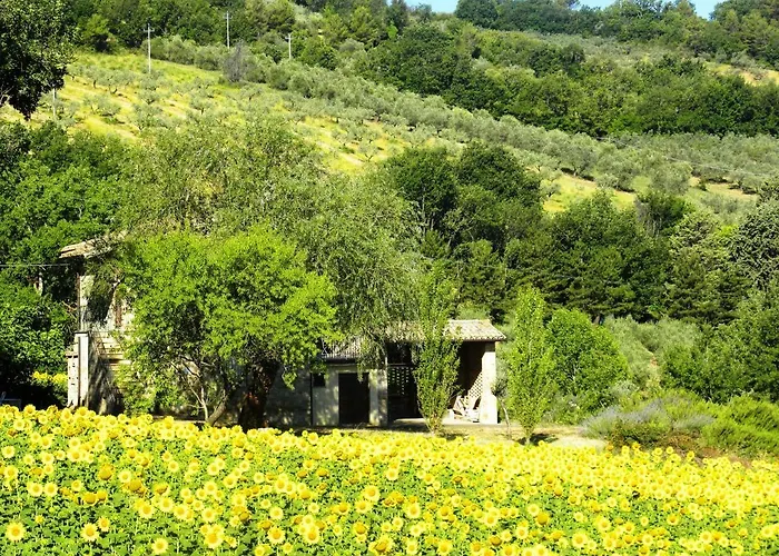 아파트 Collina Umbra *